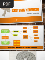 Aula de Neuroanatomia - Copia 2023