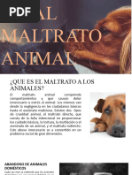 Maltrato Animal