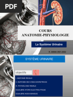 Chapitre V Systeme Urinaire