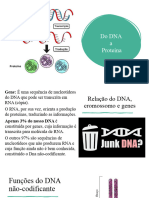 Do DNA A Proteína