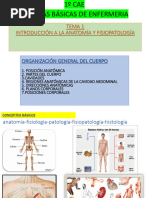 Tema 1-Introducciã N A La Anatomã A y Fisiopatologã A