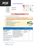 D4 A1 SESION MAT. Medimos Con Objetos