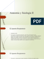 Anatomía y Fisiología II Aparato Respiratorio