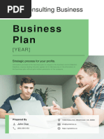 Consulting Business Plan