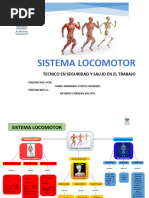 Trabajo 3 Sistema Locomotor Jaime Cortes