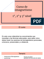 Curso de Biomagnetismo 3 Niveles