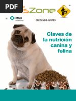 Claves para La Alimentacion Canina