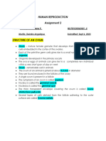 Human Reproduction Spermatogenesis 