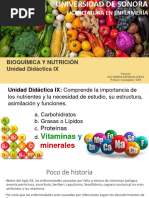 Unidad Didactica IX - VITMIN