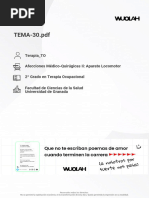 Tema 30 PDF