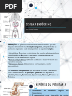 12 Slides - Sistema Endócrino