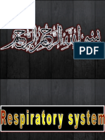 3-4 Respiratory V&C