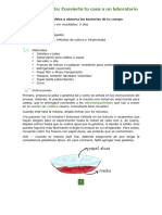 Cultivo de Microorganismos Casero