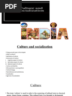 Culture and Socialisation