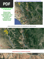 PRESENTACIÓN Agroforestería