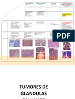 Tumores de Glandulas Salivales