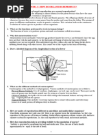 Biology - Chapter 8 - How Do Organisms Reproduce