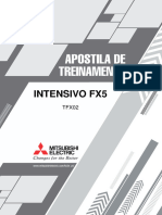 Treinamento Intensivo FX5 (B)