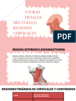 Regiones Cervicales