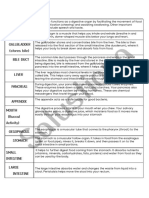 Digestive System - Parts & Functions