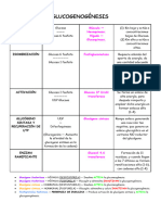 Esquema Bioquímica