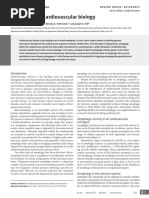 Autophagy in Cardiovascular Biology