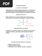 Actividad Aminoácidos