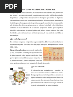 Lipoproteinas 1