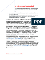 Qué Causa El Sobrepeso y La Obesidad