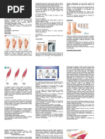 Taller 4. 2023-1. Lesiones Oseas y Musculares.