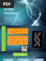 Ácidos Nucleicos