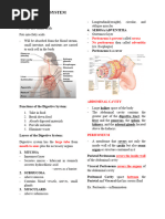 S4 Digestive System