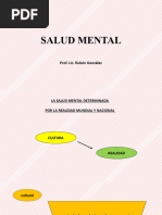 4 Aula. - Salud Mental