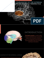 Internal Capsule of Brain