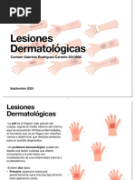 Lesiones Dermatológicas - Pato