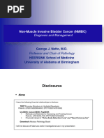 NMIBC DX and Management PDF