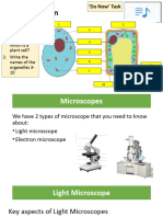 B1 Revision