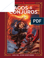 Magos y Conjuros