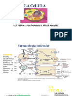 Clase 1 La Celula