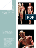 Generalidades de Anatomia Humana