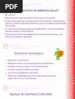 El Camino de Protección ACTIVIDAD 2