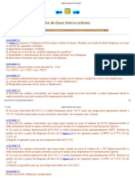 Diagrama de Fases Hierro-Carbono