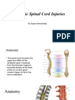 Spinal Cord Injuries