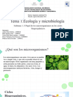 Papel de Los Microorganismos en Los Ciclos Biogeoquímicos.