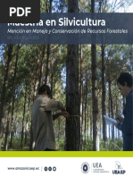 BROCHURE Silvicultura