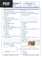 Ciencia Ambient Ib