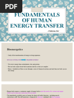 Fundamentals of Human Energy Transfer