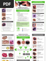 Triptico Dermatoscopio