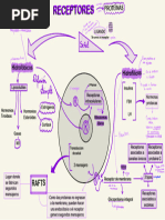 Domínios de Membrana Plasmática