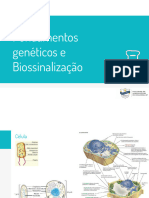 13 - Biossinalização